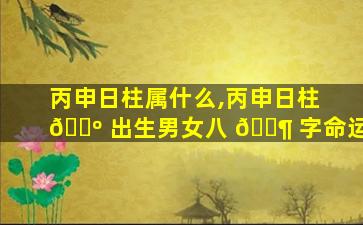 丙申日柱属什么,丙申日柱 🐺 出生男女八 🐶 字命运
